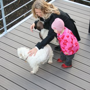 Koksnes polimēra / WPC terases dēļi